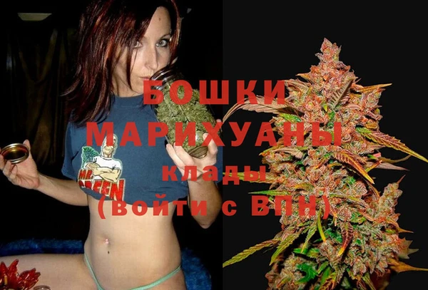 мдма Дмитриев