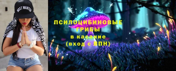 прущая мука Дмитров